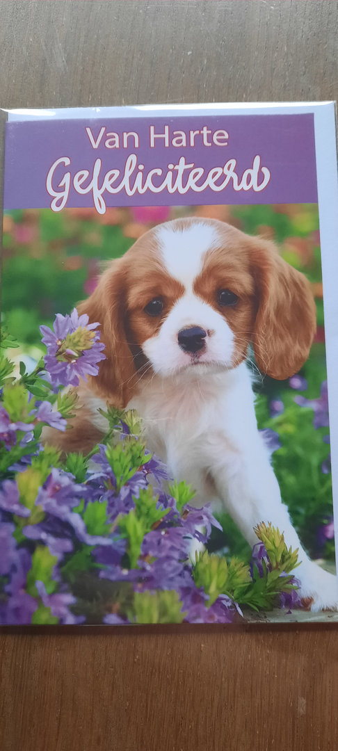 hondje/paarse bloemen