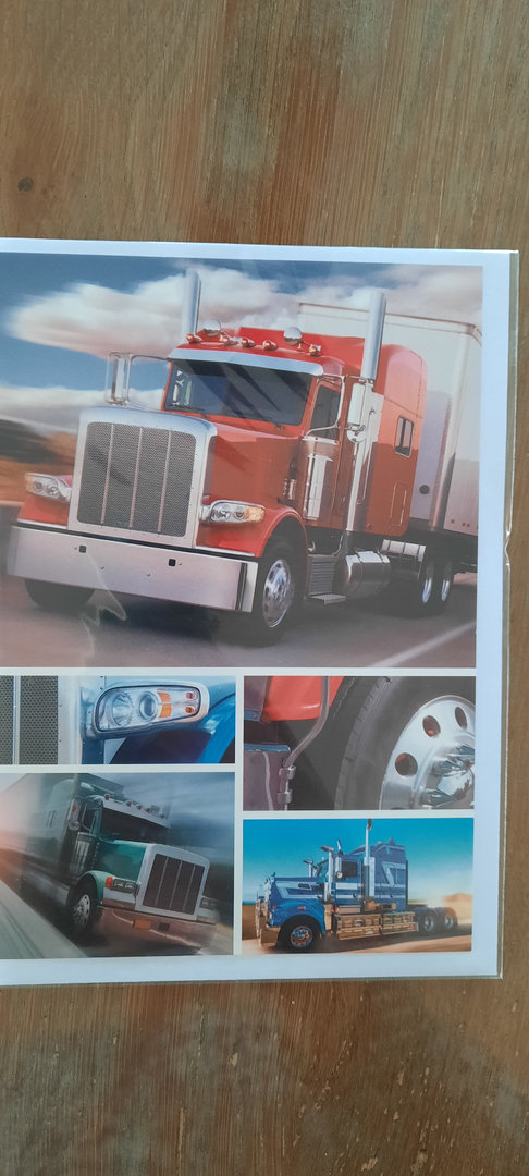 Vrachtwagen met neus